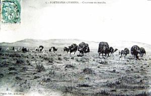Forthassa Gharbia  02